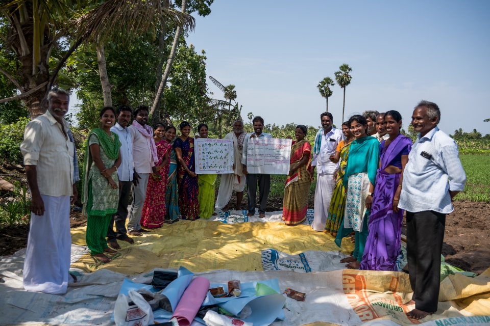 The agroecological grassroots movement revolutionising Indian farms